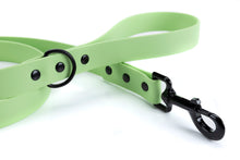 Load image into Gallery viewer, Henry &amp; Sadie Mint Green Lead with Black Hardware