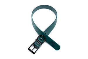Henry & Sadie Forest Green Collar with Black Hardware