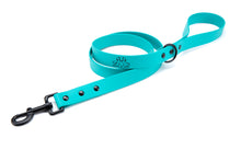 Load image into Gallery viewer, Henry &amp; Sadie Teal Lead with Black Hardware