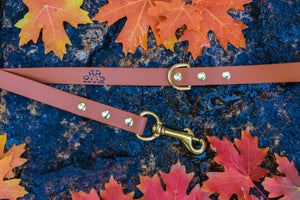 Henry & Sadie Cinnamon Brown Lead with Solid Brass Hardware on Rock surrounded by fall leaves