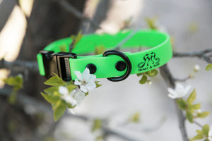 Henry & Sadie Quick Side Release Buckle Collar in Neon Green in tree with spring flowers