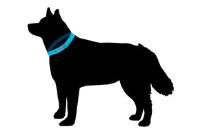 Black Silhouette of a dog with a blue collar around its neck.