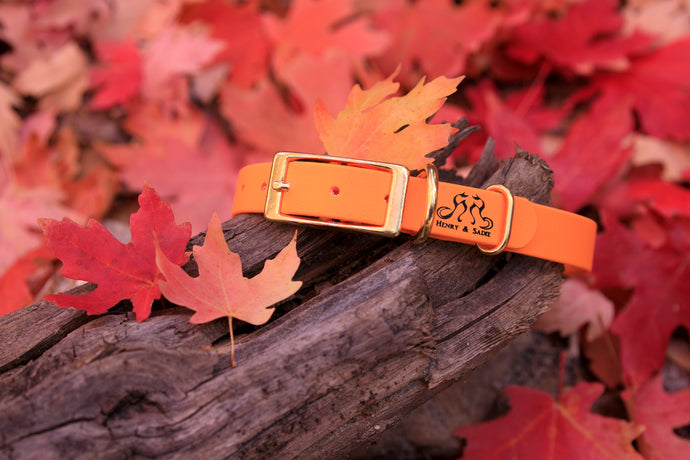 Henry & Sadie Ready Made One-Inch Wide Collars