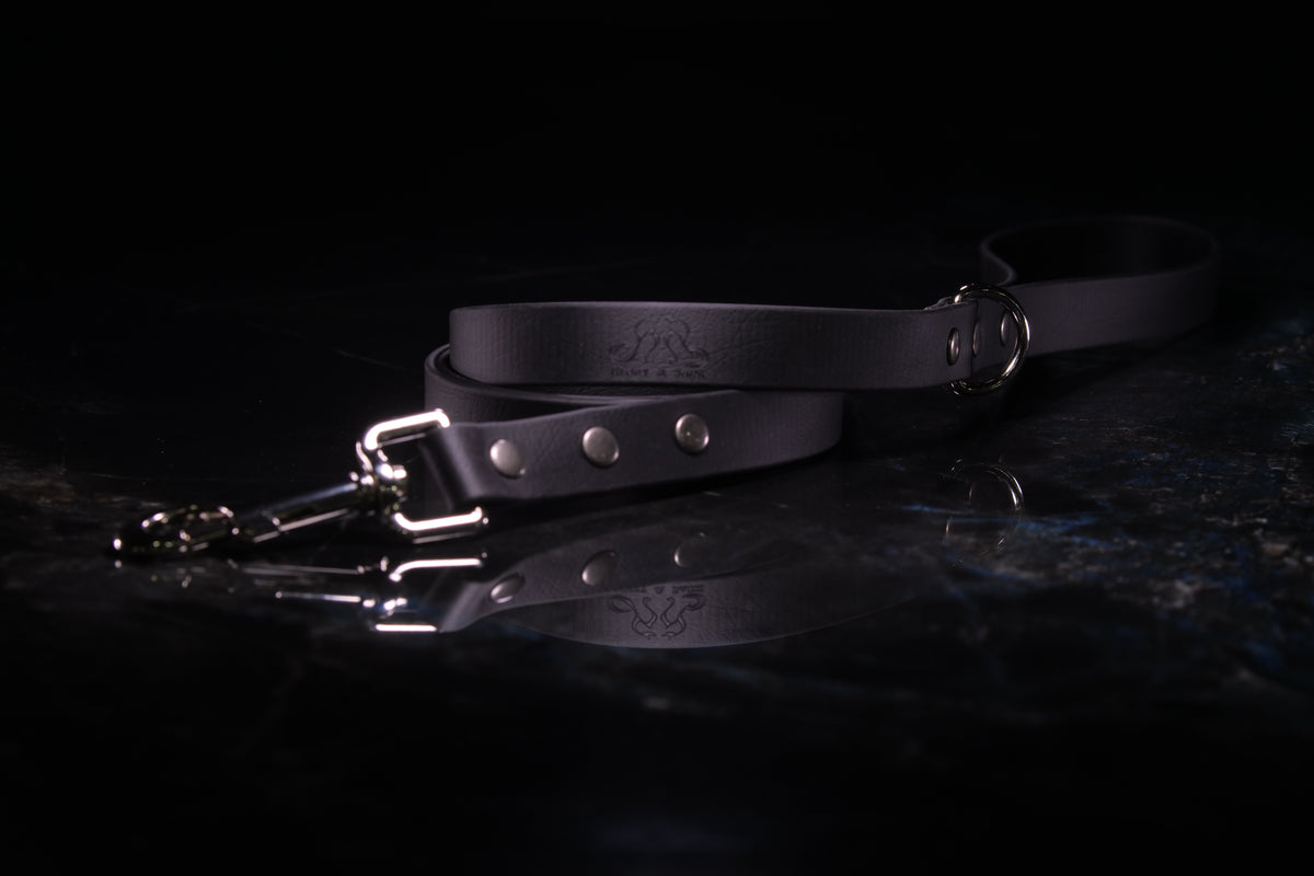 Black Standard Leash | Three-Quarter Inch Wide