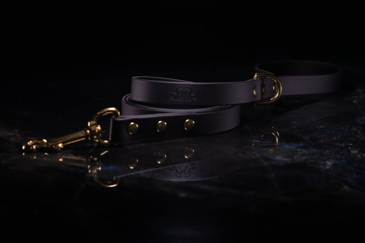 Black Standard Leash | Three-Quarter Inch Wide