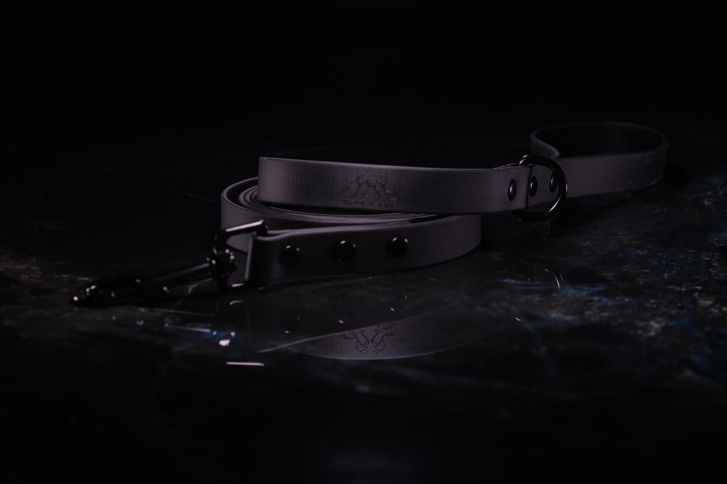 Black Standard Leash | Three-Quarter Inch Wide