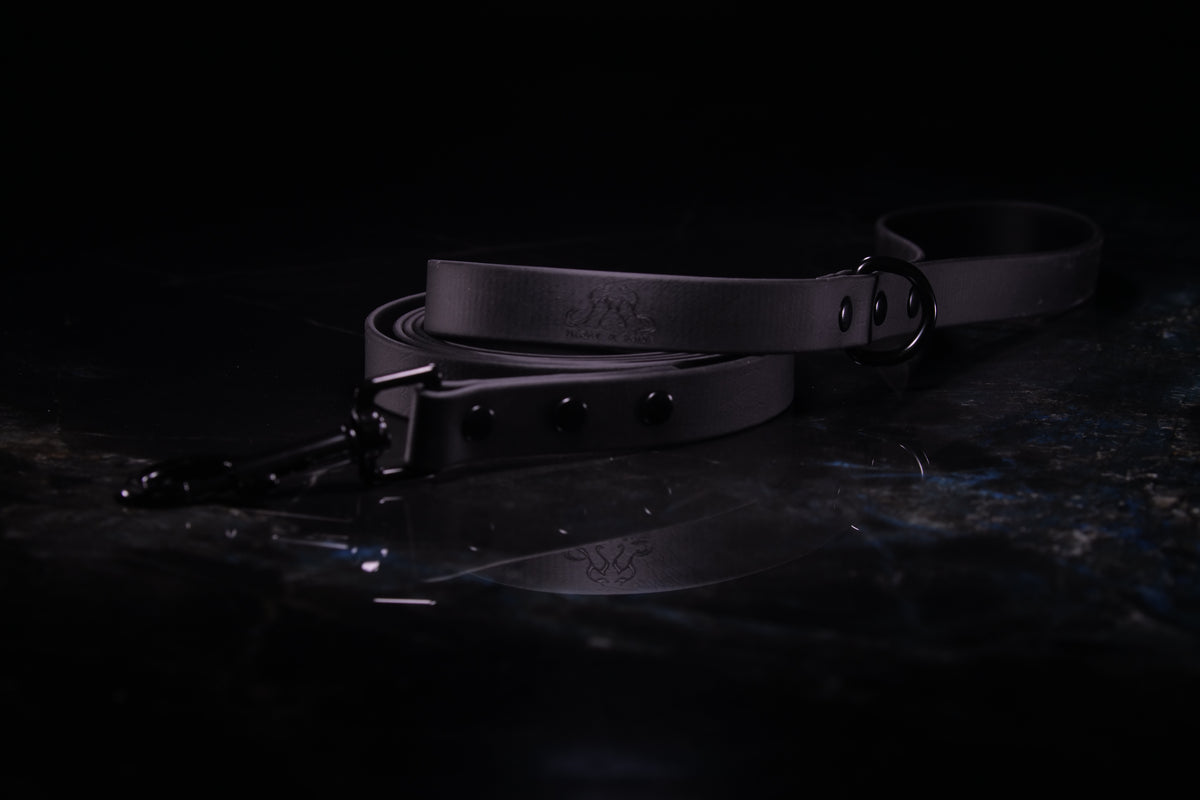 Black Standard Leash | Three-Quarter Inch Wide