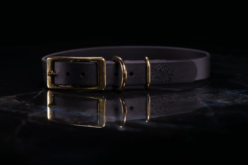 Black Traditional Buckle Collar | Three-Quarter Inch Wide