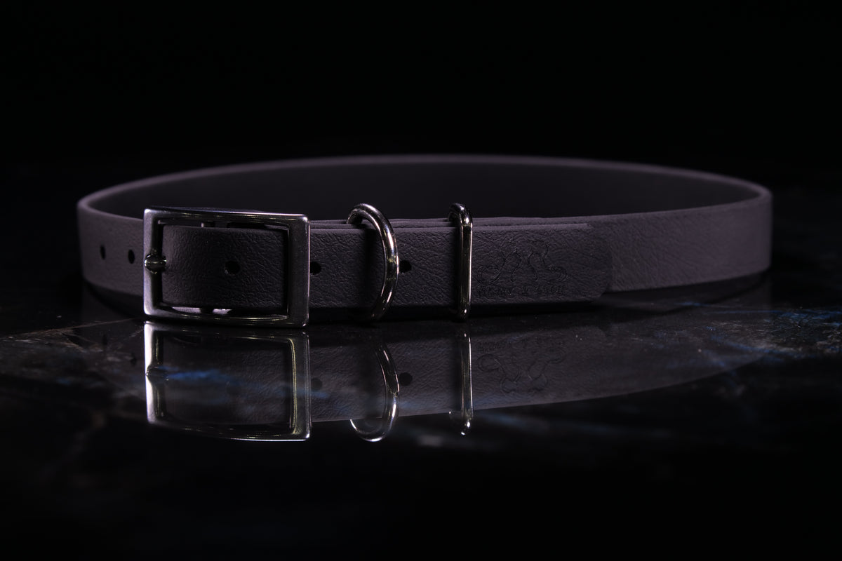 Black Traditional Buckle Collar | Three-Quarter Inch Wide