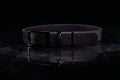 Black Traditional Buckle Collar | Three-Quarter Inch Wide