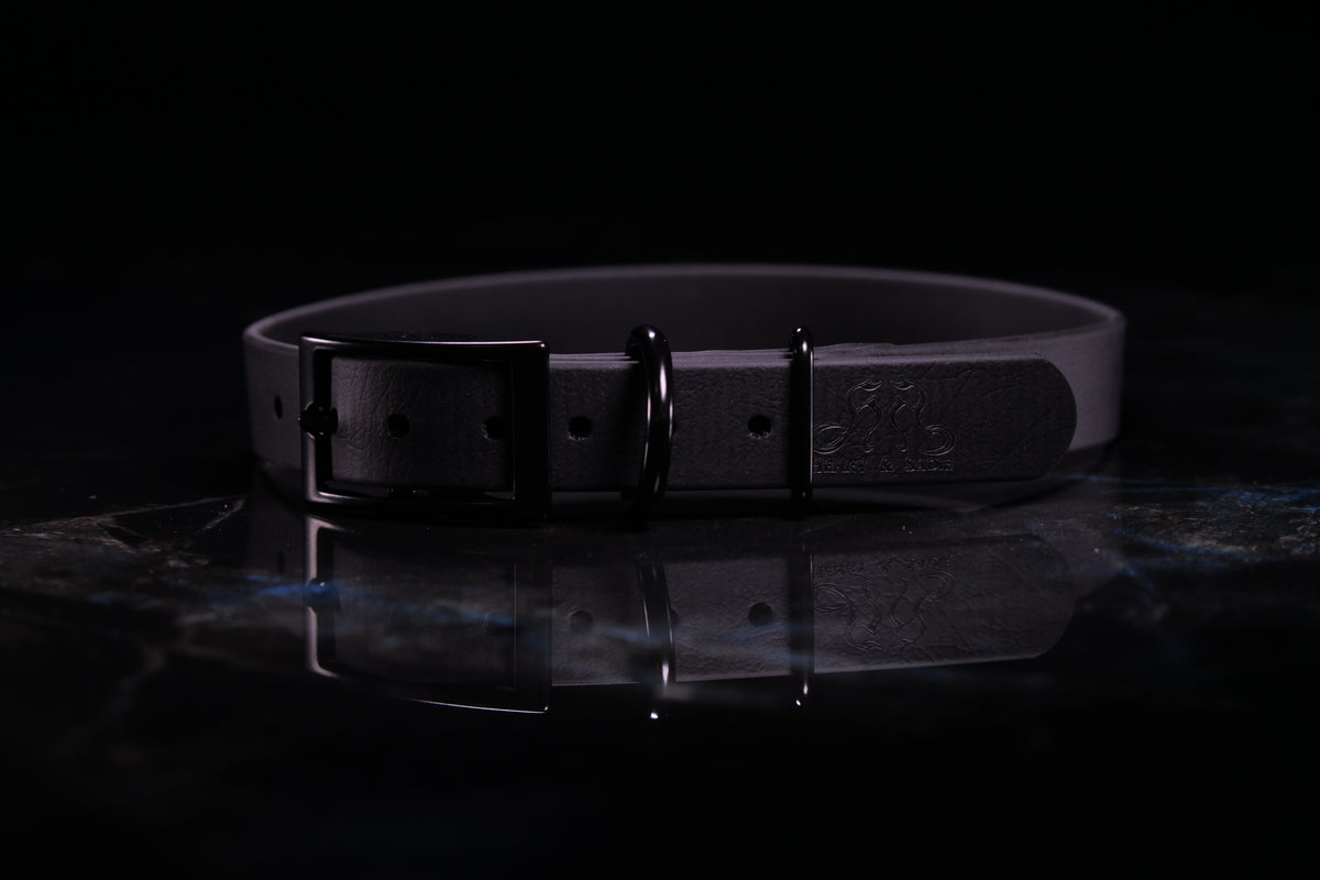 Black Traditional Buckle Collar | Three-Quarter Inch Wide