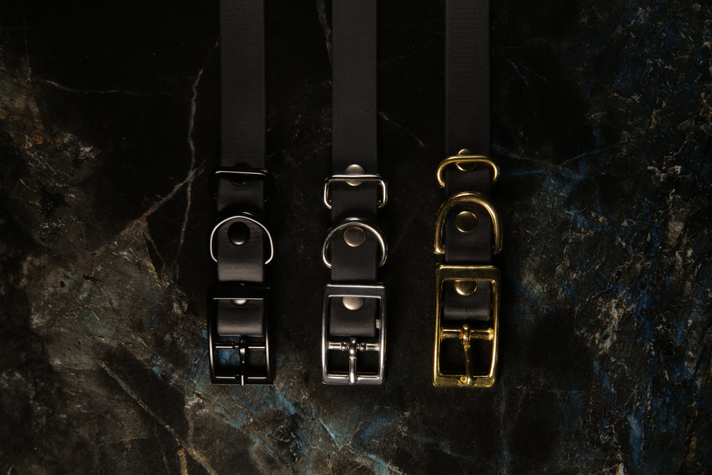 Black Traditional Buckle Collar | Three-Quarter Inch Wide
