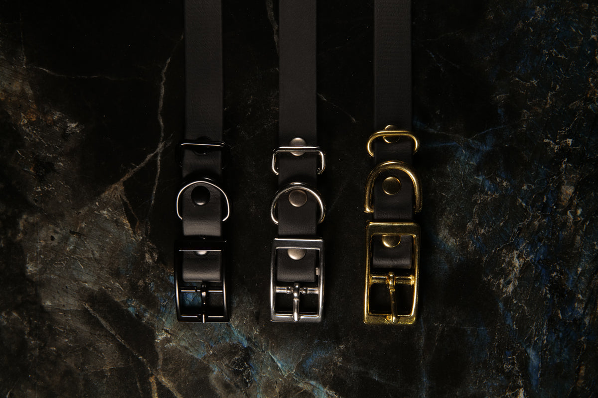 Black Traditional Buckle Collar | Three-Quarter Inch Wide