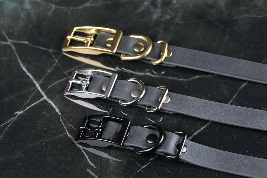 Black Traditional Buckle Collar | Three-Quarter Inch Wide