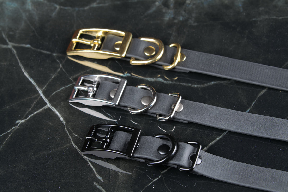 Black Traditional Buckle Collar | Three-Quarter Inch Wide