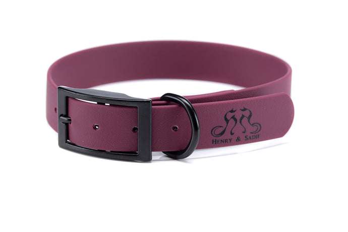 Henry & Sadie Wine Collar with Black hardware