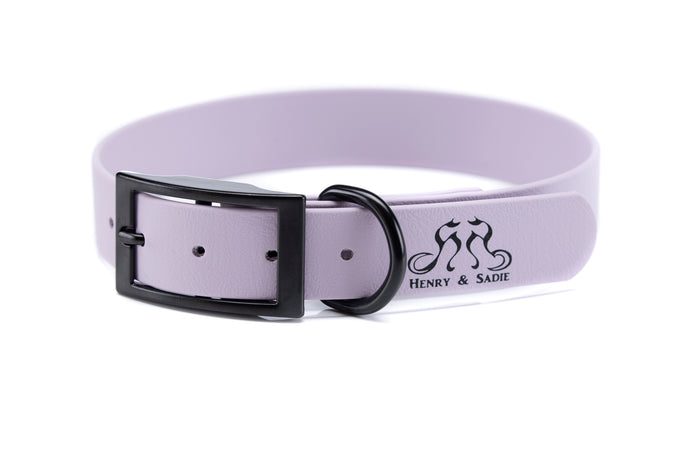 Henry & Sadie Lavender Collar with Black Hardware