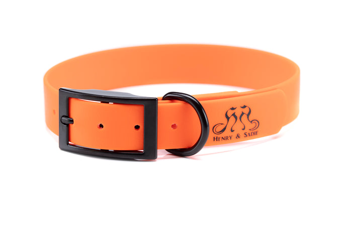 Henry & Sadie Orange Collar with Black Hardware