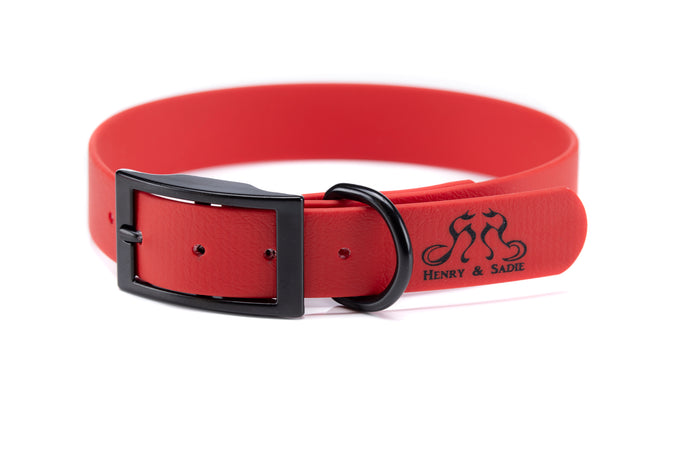 Henry & Sadie Red Collar with Black Hardware