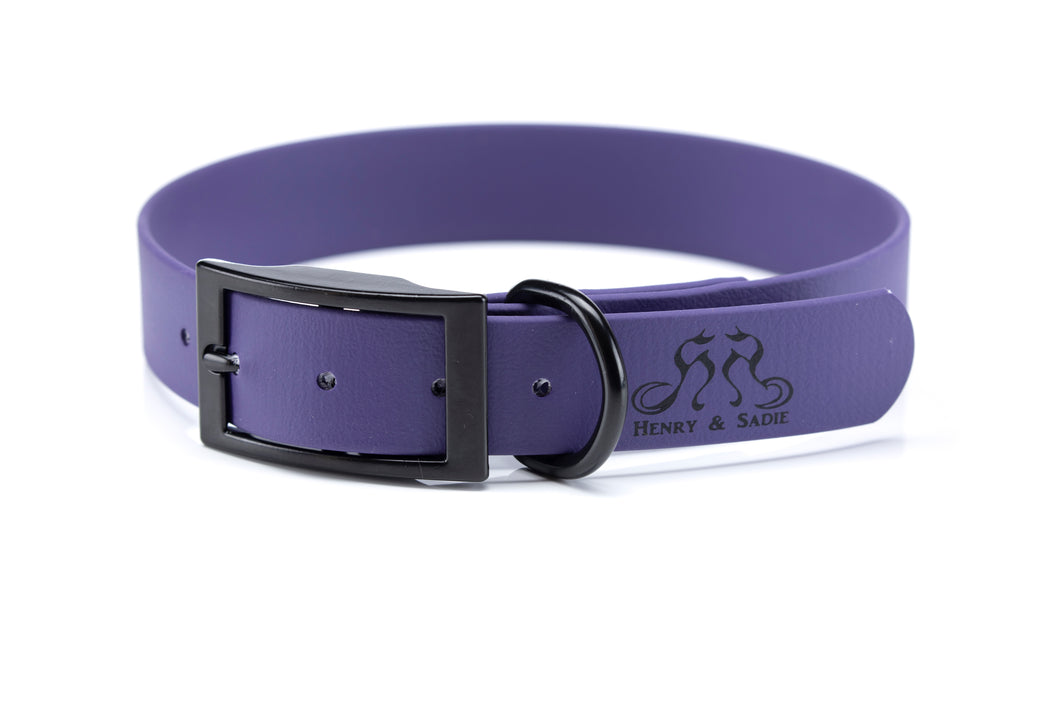 Henry & Sadie Purple Collar with black hardware
