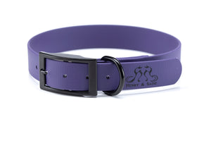 Henry & Sadie Purple Collar with Black Hardware