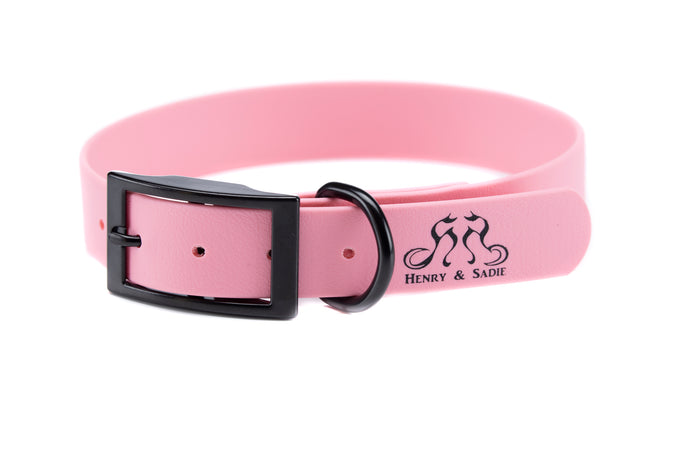 Henry & Sadie Rose Pink Collar with Black Hardware