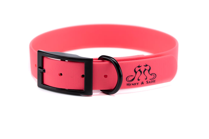 Henry & Sadie Hot Pink Collar with Black Hardware