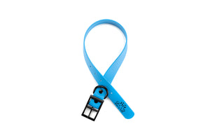 Henry & Sadie Ocean Blue Collar with Black Hardware in a Ribbon shape