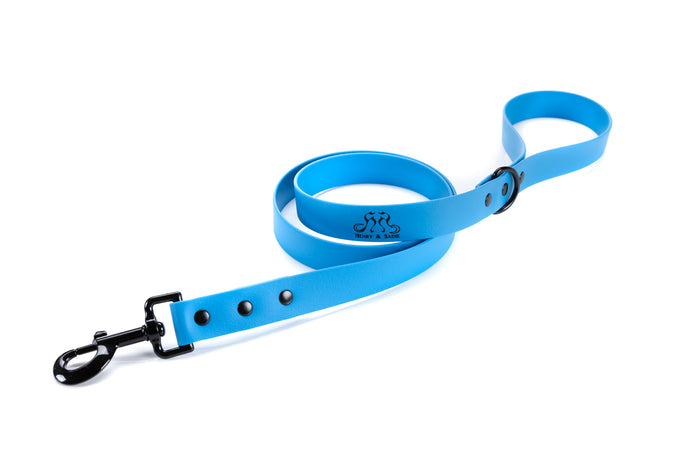 Henry & Sadie Ocean Blue Lead with Black Hardware