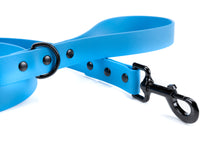 Load image into Gallery viewer, Henry &amp; Sadie Ocean Blue Lead with Black Hardware