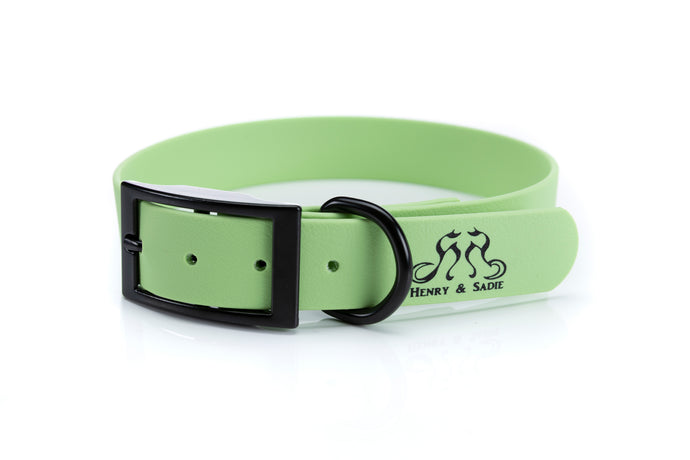 Henry & Sadie Mint Green Collar with Black Hardware