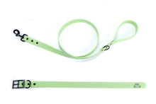 Load image into Gallery viewer, Henry &amp; Sadie Mint Green Collar and lead set with Black Hardware