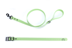 Henry & Sadie Mint Green Collar and lead set with Black Hardware