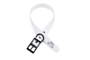 Henry & Sadie Snow White Collar with Black Hardware