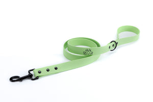 Henry & Sadie Mint Green Lead with Black Hardware
