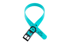 Load image into Gallery viewer, Henry &amp; Sadie Teal Blue Collar with Black Hardware