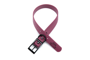 Henry & Sadie Wine Collar with Black hardware