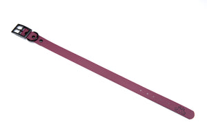 Henry & Sadie Wine Collar with Black hardware