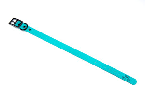Henry & Sadie Teal Blue Collar with Black Hardware