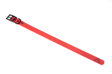 Load image into Gallery viewer, Henry &amp; Sadie Red Collar with Black Hardware