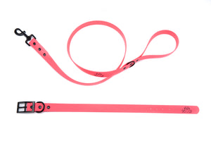 Henry & Sadie Hot Pink Collar and Lead set with Black Hardware