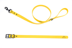Henry & Sadie Yellow Collar and Lead with black hardware