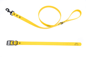 Henry & Sadie Yellow Collar and Lead with Black Hardware