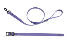 Load image into Gallery viewer, Henry &amp; Sadie Purple Collar and Lead with black hardware