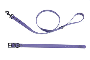 Henry & Sadie purple collar and lead with black hardware