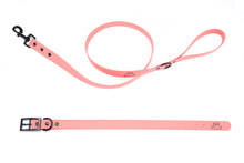 Load image into Gallery viewer, Henry &amp; Sadie Coral Collar with black Hardware