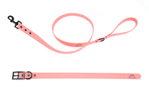 Henry & Sadie Coral Collar with black Hardware