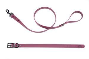 Henry & Sadie Wine Collar and Lead with Black Hardware