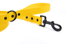 Load image into Gallery viewer, Henry &amp; Sadie Yellow Lead with Black Hardware