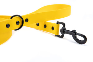Henry & Sadie Yellow Lead with Black Hardware